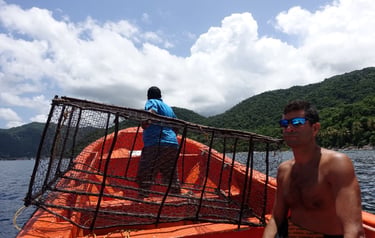 TTT teaming up with the SMMA rangers in Saint Lucia to remove illegal fish traps in the reserve
