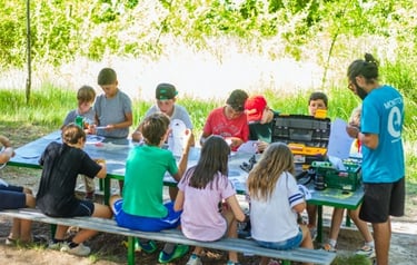 niños trabajando un taller educativo en plena naturalez