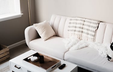 Couch and coffee table