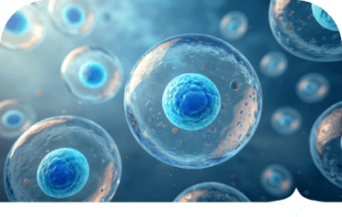 Bubble and Fluid Management