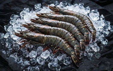 Frozen-Black-Tiger-Shrimp-Black-Tiger-Prawn