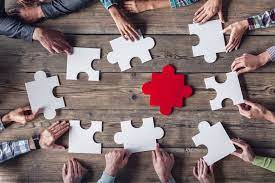 Co-développement entreprise