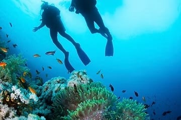 Zwei Taucher am Riff