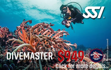 SSI scuba diver underwater near a coral reef promoting a Divemaster course in Diani Beach, Kenya.