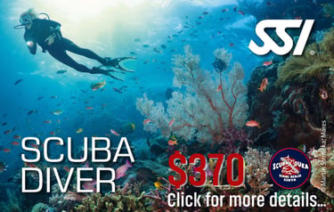 SSI scuba diver exploring a tropical coral reef with fish at Diani Beach Kenya.