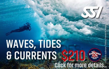 Scuba diver underwater during an SSI Waves, Tides and Currents course at Diani Beach Kenya.