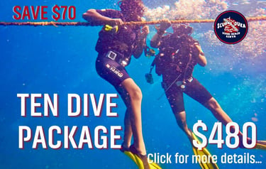 Scuba divers in Diani Beach Kenya underwater with a ten dive package discount offer.