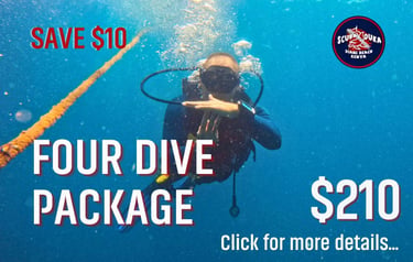 Scuba diver underwater promoting a four dive package for $210 at Scuba Duka Diani Beach Kenya.
