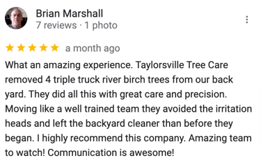 Google Review Tree Service Taylorsville NC