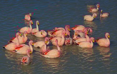 Salt Flat Uyuni Landscape & Nightscape Photography Tour 9D/8N