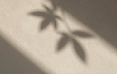 Extreme close-up of soft warm sunlight casting delicate leaf shadows on a neutral plaster wall, elegant and quiet