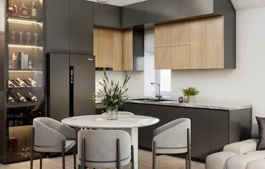 modern kitchen and living room design