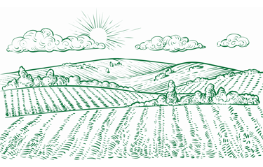 Icone montrant un champ qui représente le lien entre Kadiamor et Bourokk