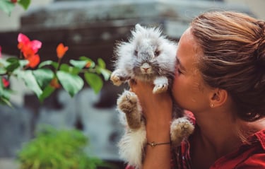 a woman holding a kitten kitten kitten kitten kitten kitten kitten kitten kitten kitten kitten kitten