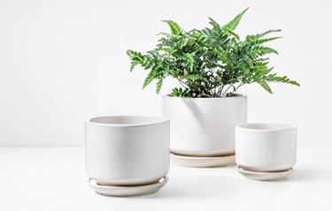 small ceramic plant pot white minimalist for green plants for bedroom.