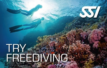 SSI Try Freediving