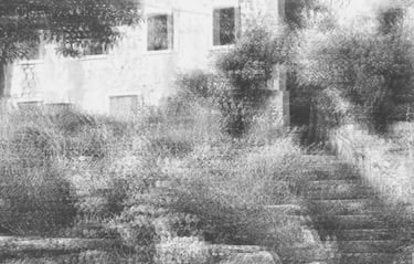 Black and white photograph of an abandoned stone house and overgrown stairs, used as a research header by artist Tina Bikic.