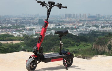 10inch off road electric scooter with double motor and removable battery