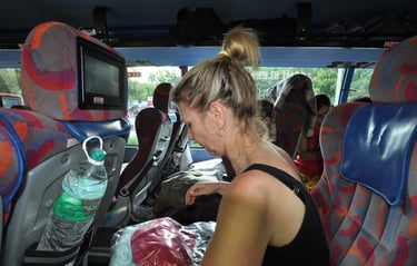bus ride to manali, northern India