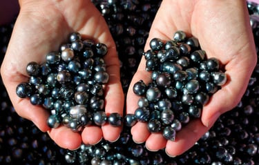 a person holding a bunch of pearls in their hands