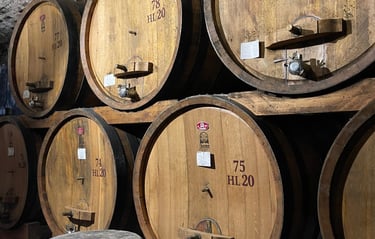 Événement professionnel au Domaine Cesarini en Ombrie - visite de Cantina