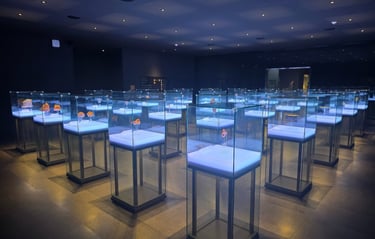 Jeongnimsaji Museum display cases