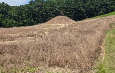 Central royal tomb undergoing landscape restoration following excavation
