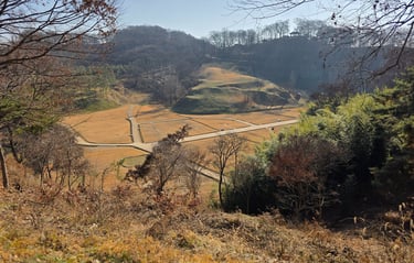 Palace area overview