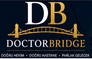 doctorbridge hekimler ve hastaneler arasındaki sırdaş köprü