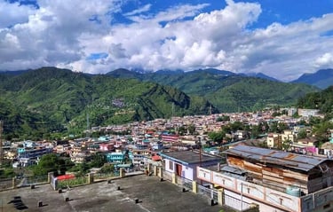 a view of a city with mountains in the background