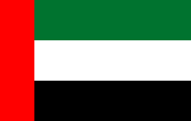 Dubai flag