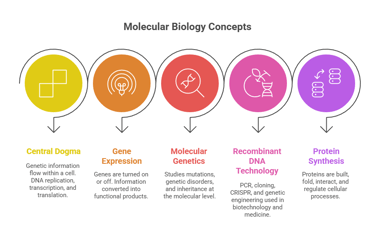 Molecular biology-key concepts