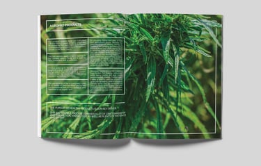 Catalogue