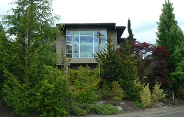 Window and gutter cleaning in Columbia SC