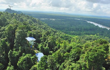 The Last Frontier Boutique Resort, Kinabatangan, Sandakan