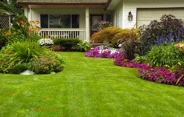 a house with a lawn and flowers in the front yard