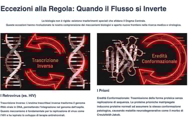 L'eccezione che conferma la regola: Retrovirus e Prioni