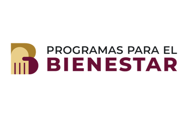 Registro Mejora de Vivienda Bienestar 2025 