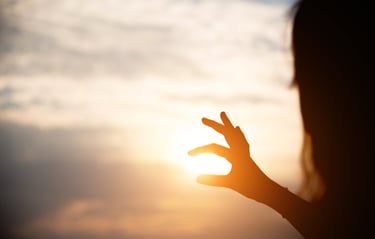 Wild Soul, science, spirituality, consciousness