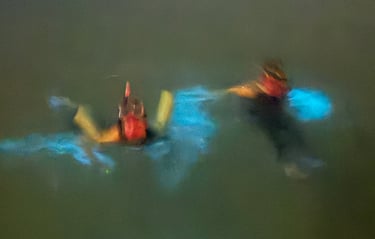 Bioluminescent Bay Grand Cayman
