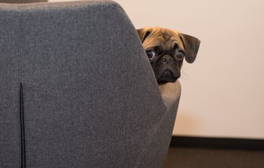 angoisse, culpabilité, mauvaise estime de soi