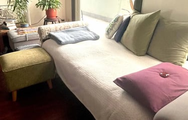 bed for qhht with elisa using dolore cannon method for quantum healing