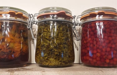 three jars of natural herbs and berries, herbal supplements