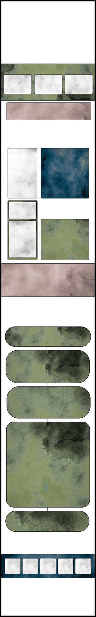 phidippus regius - adopter une phidippus regius - conseils phidippus regius