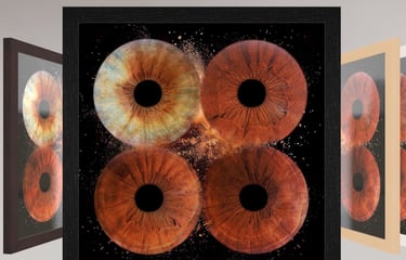 Tableau verre acrylique avec 4 iris et boite américaine