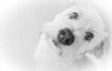 3º ClasificadoConcursillo Octubre 2025 BN