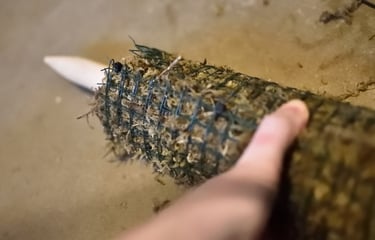 How to test structural stability of the moss pole as you make it 