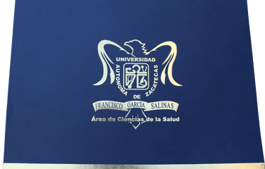 Carpetas con hotstamping