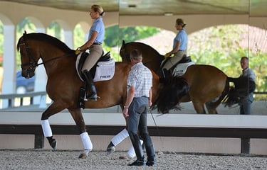 Lisa Wilcox schooling piaffe with trainer, Ernst Hoyos