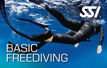SSI Basic Freediving